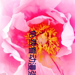 免(miǎn)费看动(dòng)漫(màn)强人物(wù)漫画软(ruǎn)件有哪些 看漫(màn)画免费的强(qiáng)大软件推(tuī)