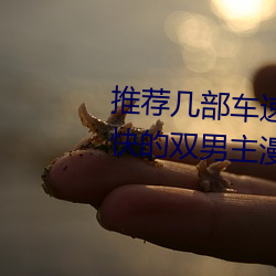 推(推)荐几(幾)部车速很快的(的)动漫 车速超(超)快的(的)双(雙)男主漫(漫)画(畫)推荐(薦)