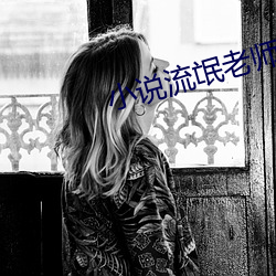 小说流氓老师(shī)