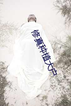 修真(真)种植大户