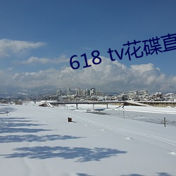 618 tv花碟直播
