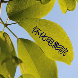 怀化电影(影)院