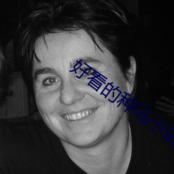 好(hǎo)看的种马小说