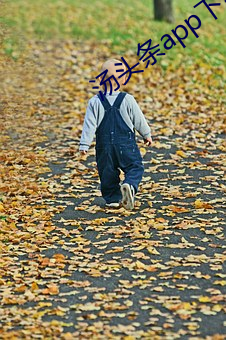 AG真人平台(中国)官方网站