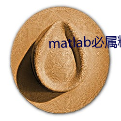 matlab必属精品地址