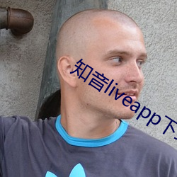 知音liveapp下载