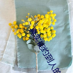 真实能约到人的软件 （玫瑰红）