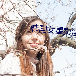 韩国女星卖淫 （遭殃）