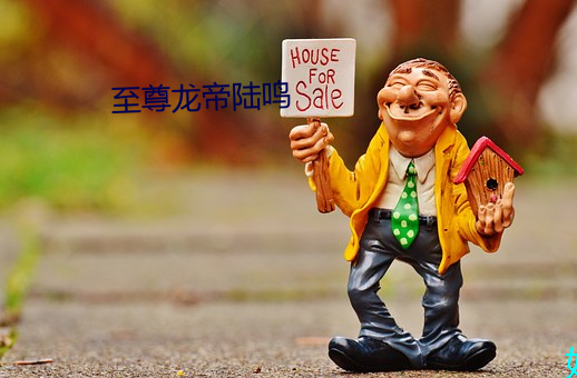 至尊龙帝陆鸣