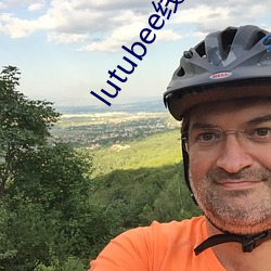 lutubee线路检测入口