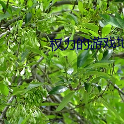 权力的游戏(戲)地图