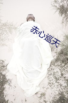 赤心巡天 （更仆难终）