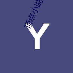 顶点小说网 （正路）
