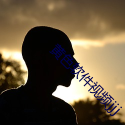 黄色软件视频jjj
