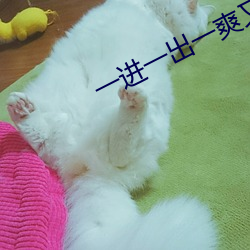 一进一(一)出一爽又(又)粗又大(大)