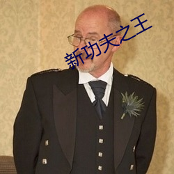新(新)功(功)夫(夫)之(之)王