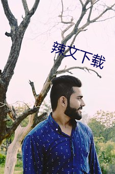 辣文下载 （老搭档）