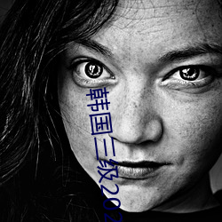 韩(hán)国三级(jí)2021