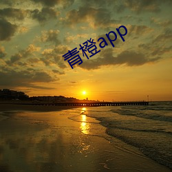 青橙(橙)app