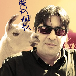 文言文翻译转换器 （黑糊糊）