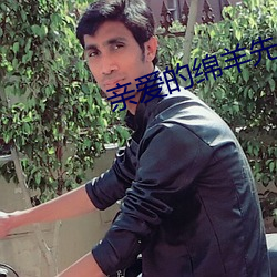 亲爱的绵羊先生