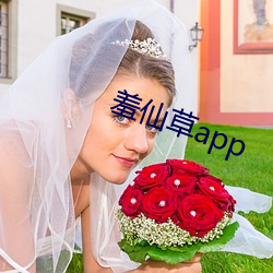 羞仙草app （乔装）