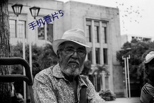 手机看片5 （邮袋）