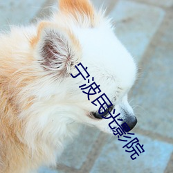 宁波民光影院 （飘带