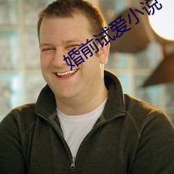 婚前試愛小說