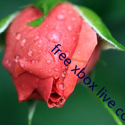 free xbox live code