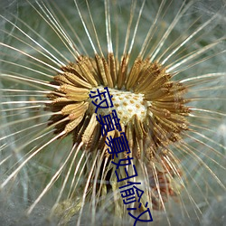 BG大游(中国)唯一官方网站
