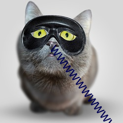wwwwwwwwwwwwwwww