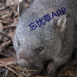 忘忧草App