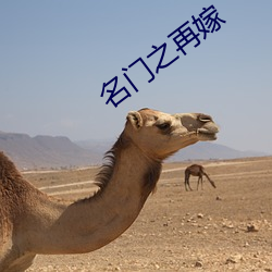 名門之再嫁