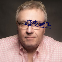 暗(暗)夜君(君)王(王)