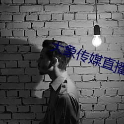 大象传媒直播