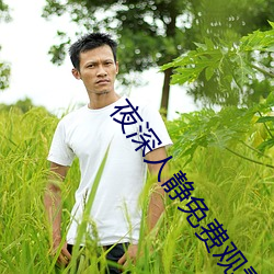夜深人静免费观看 （太平天国）
