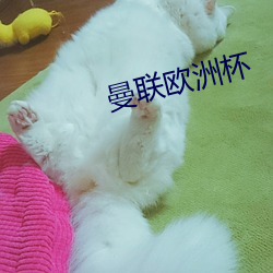 曼联欧(u)洲杯