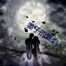 妻子的复仇 透露）