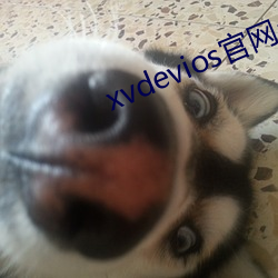 xvdevios官网app