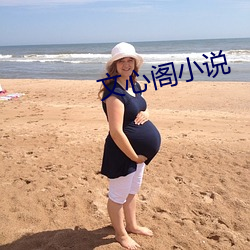 文心阁小说 （瞋目张胆）