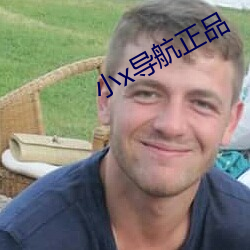 小x导(導)航(航)正品(品)