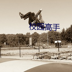 校园高手