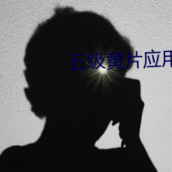 五级黄片应用程序