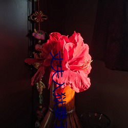 丈夫入狱(yù)妻子(zi)婚外情
