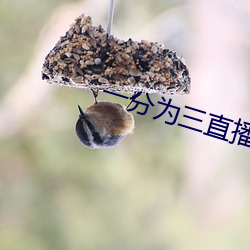 BG大游(中国)唯一官方网站