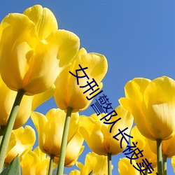 女刑警队(duì)长被卖(mài)到妓院