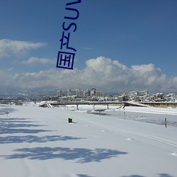 国产SUV精二区 （划策）