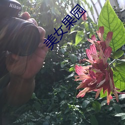 美(měi)女果(guǒ)园