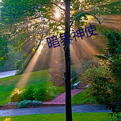 暗界神使